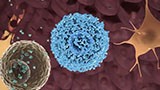 DUPIXENT TARGETS A SOURCE OF UNDERLYING INFLAMMATION