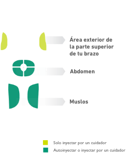 Diagrama del cuerpo humano señalando las ubicaciones de donde se inyecta Dupixent